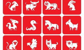 立冬吃饺子的顺口溜