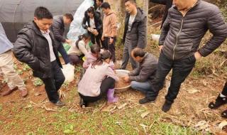 云南供销合作社