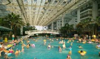 石家庄市游泳馆 石家庄市游泳馆