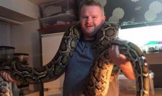 小兔子被大蟒蛇做哭