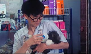 开心鬼上错身女主角 开心鬼上错身女主角