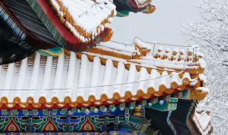 北京迎来今年首场雪 北京迎来今年首场雪