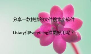 搜索everything 搜索everything