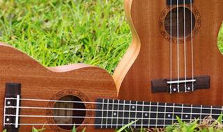 尤克里里新手入门 尤克里里新手入门