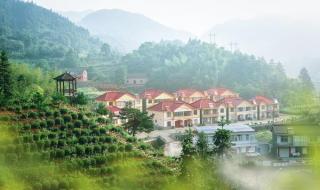 远方的客人 远方的客人