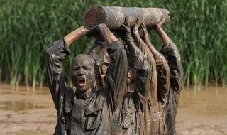 雪枫特战旅 雪枫特战旅