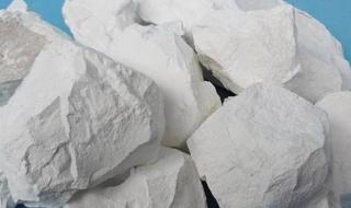 猪呼吸道病 猪呼吸道病