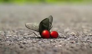 总动员系列 总动员系列