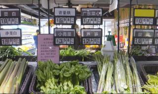 洋葱晶是啥 洋葱晶是啥