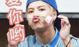 王嘉尔国籍 王嘉尔国籍