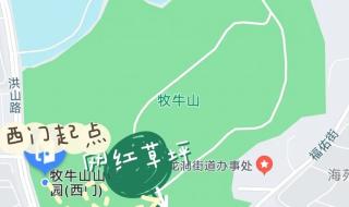 坐飞机偶遇万家灯火 坐飞机偶遇万家灯火