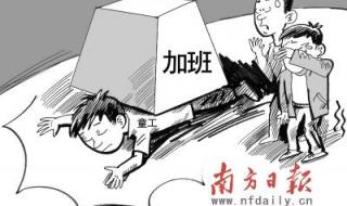 一个宿舍四款身份证