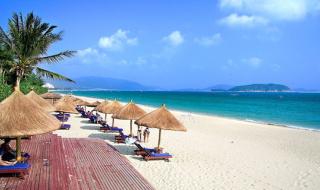 三亚热带森林公园 三亚热带森林公园