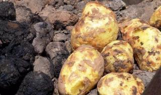 会泽炸洋芋作料配方 会泽炸洋芋作料配方