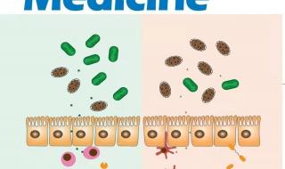 2014年sci影响因子 2014年sci影响因子