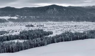 2020年我的新年愿望 2020年我的新年愿望