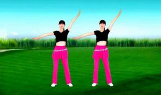 伤心的雪花原唱 伤心的雪花原唱