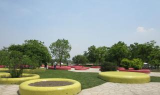 上海辰山植物园攻略 上海辰山植物园攻略