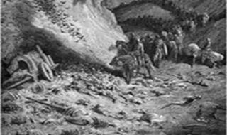 荒野日记最强角色排名 荒野日记最强角色排名