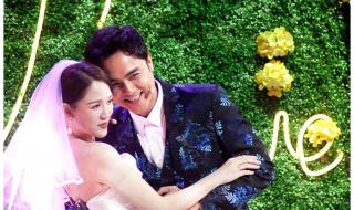 王子变青蛙大结局