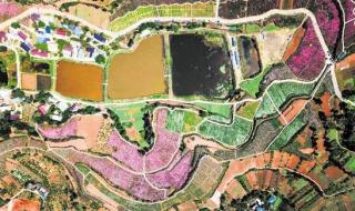 天津市河北区地图