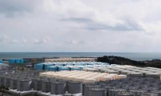 日本核废水大量鱼死亡 日本核废水大量鱼死亡