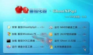 番茄花园windowsxp