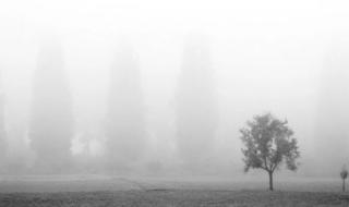 我没有那么坚强 我没有那么坚强