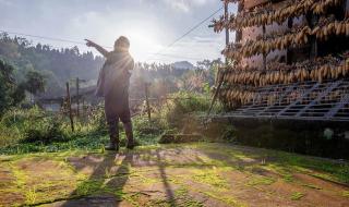 欢迎来到绵羊村攻略