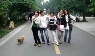 青春美少女组合图片