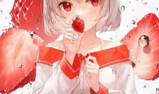 5个动漫女孩小游戏