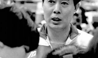 历届中国女排主教练 历届中国女排主教练