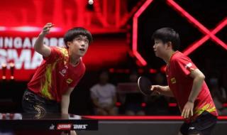 王楚钦大满贯缺什么 王楚钦大满贯缺什么